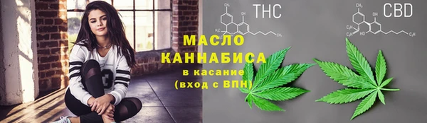индика Тында