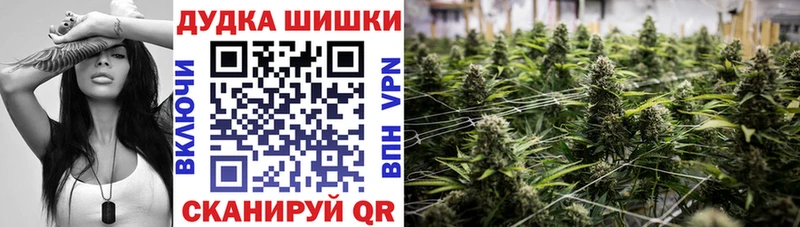 Купить закладки  Приозерск  Марихуана индика 